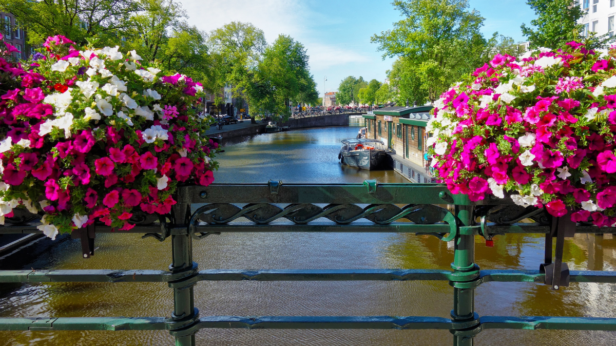geen verbetering makelaardij
