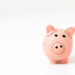 >Hoogste spaarrente in Nederland in 2026? Dit zijn de mogelijkheden< revolut 01726